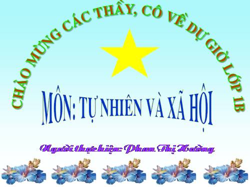 Bài 9. Hoạt động và nghỉ ngơi