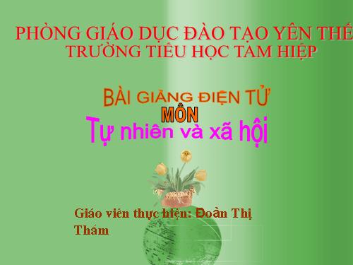 Bài 29. Nhận biết cây cối và con vật