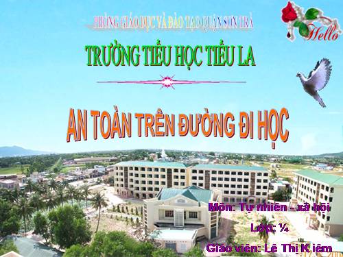 Bài 20. An toàn trên đường đi học