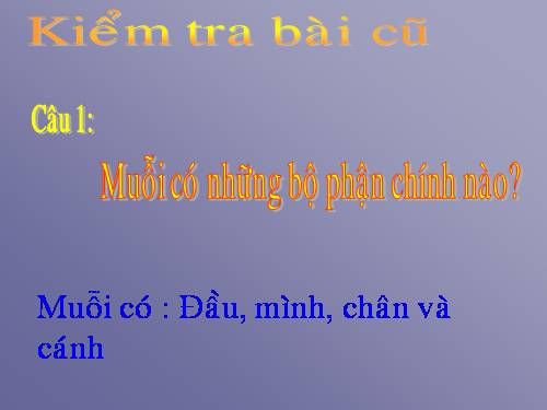 Bài 29. Nhận biết cây cối và con vật