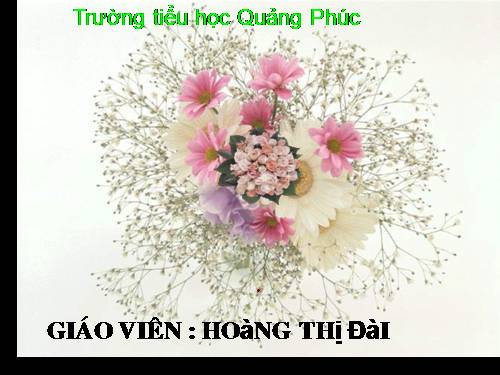 Bài 14. An toàn khi ở nhà