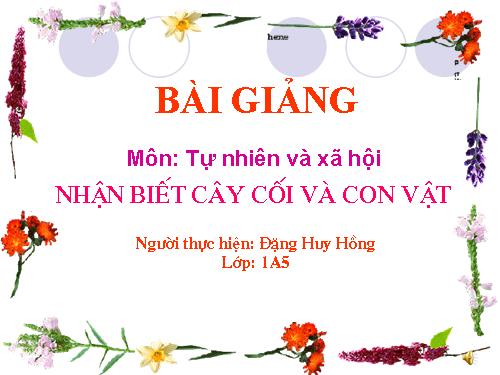 Bài 29. Nhận biết cây cối và con vật