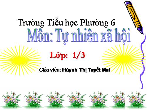 Bài 14. An toàn khi ở nhà