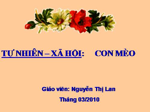 Bài 27. Con mèo