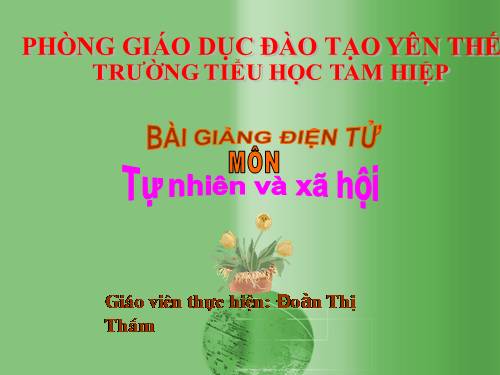 Bài 29. Nhận biết cây cối và con vật