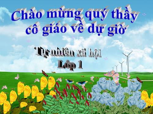 Bài 17. Giữ gìn lớp học sạch, đẹp