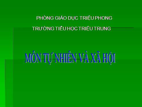 Bài 13. Công việc ở nhà.