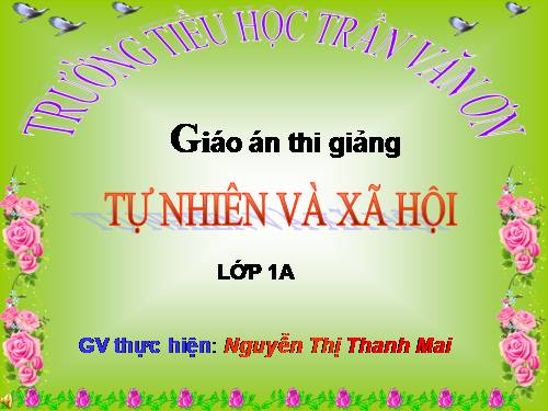 Bài 13. Công việc ở nhà.