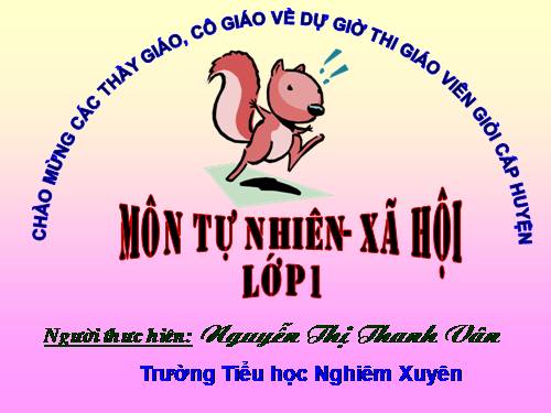 Bài 16. Hoạt động ở lớp