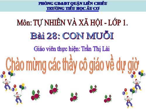 Bài 28. Con muỗi