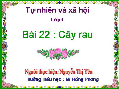 Bài 22. Cây rau