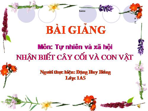 Bài 29. Nhận biết cây cối và con vật