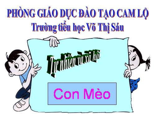 Bài 27. Con mèo