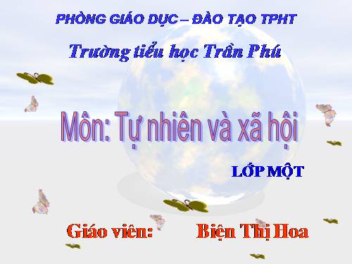 Bài 16. Hoạt động ở lớp