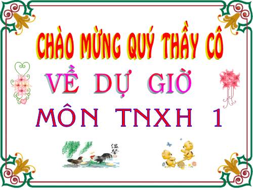 Bài 29. Nhận biết cây cối và con vật