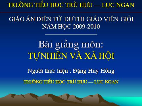 Bài 29. Nhận biết cây cối và con vật