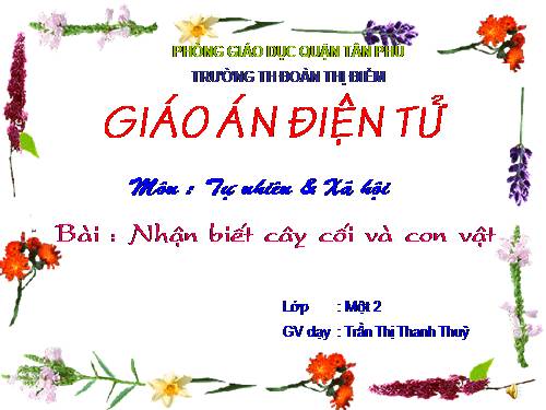 Bài 29. Nhận biết cây cối và con vật