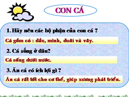 Bài 26. Con gà