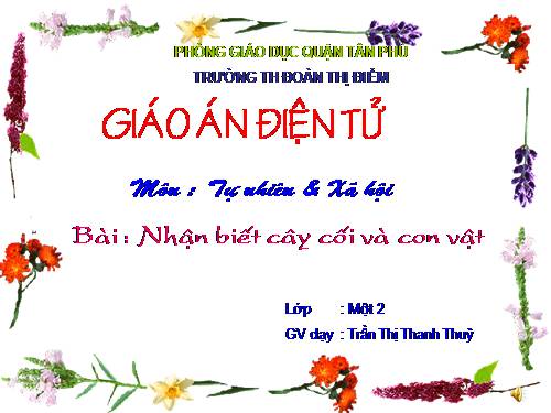 Bài 29. Nhận biết cây cối và con vật