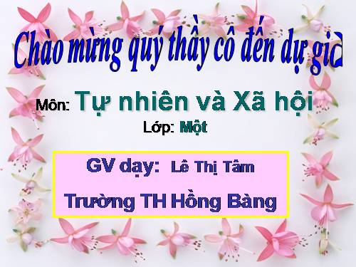 Bài 28. Con muỗi