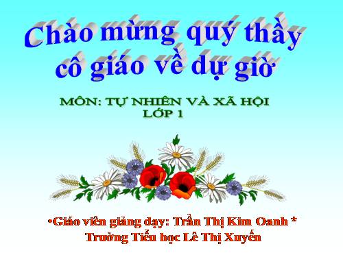 Bài 17. Giữ gìn lớp học sạch, đẹp