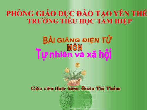 Bài 29. Nhận biết cây cối và con vật