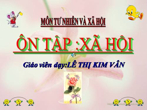 Bài 21. Ôn tập: Xã hội