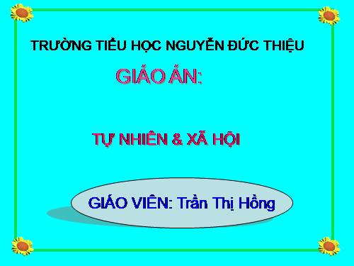 Bài 14. An toàn khi ở nhà