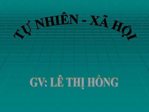 Bài 13. Công việc ở nhà.