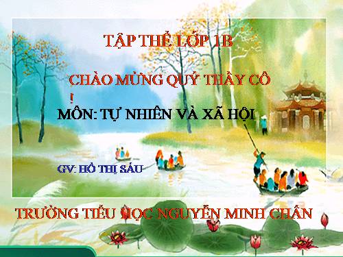 Bài 24. Cây gỗ