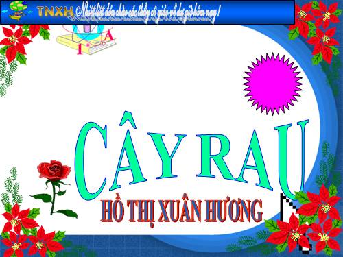 Bài 22. Cây rau