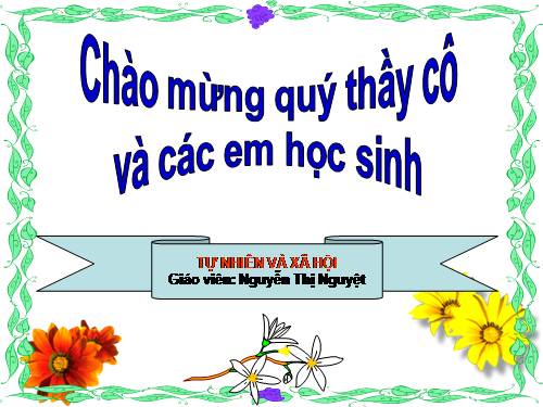 Bài 18. Cuộc sống xung quanh