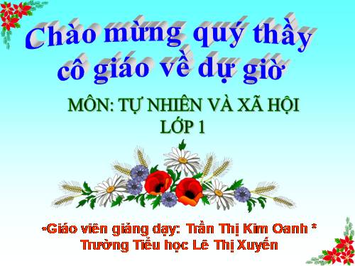 Bài 17. Giữ gìn lớp học sạch, đẹp