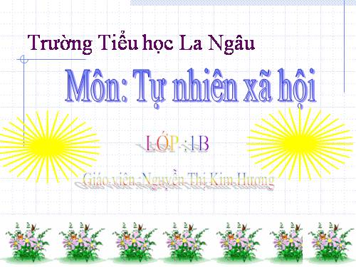 Bài 14. An toàn khi ở nhà