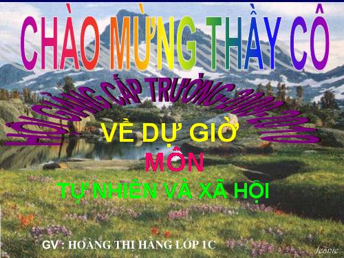 Bài 11. Gia đình