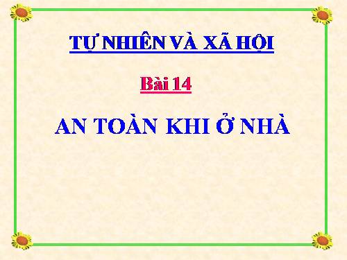 Bài 14. An toàn khi ở nhà