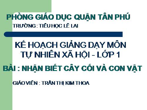 Bài 29. Nhận biết cây cối và con vật