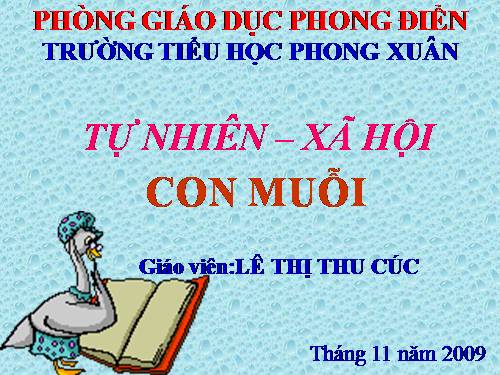 Bài 28. Con muỗi