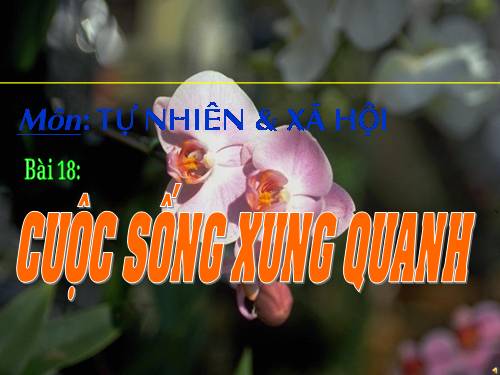 Bài 18. Cuộc sống xung quanh