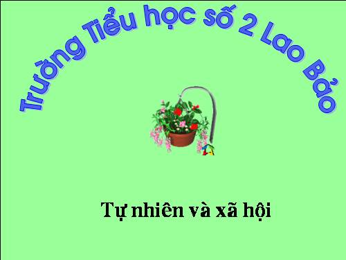 Bài 7. Thực hành: Đánh răng và rửa mặt