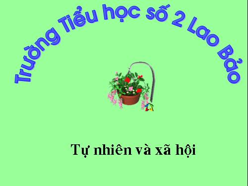 Bài 9. Hoạt động và nghỉ ngơi