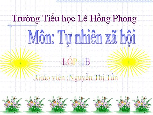 Bài 14. An toàn khi ở nhà