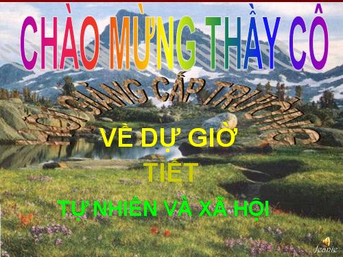 Bài 11. Gia đình