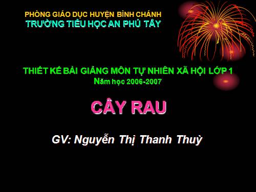 Bài 22. Cây rau