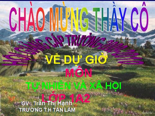 Bài 11. Gia đình