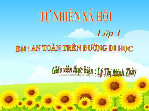 Bài 20. An toàn trên đường đi học