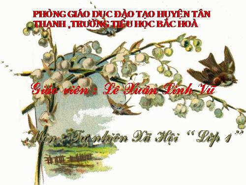 Bài 18. Cuộc sống xung quanh