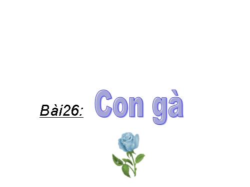 Bài 26. Con gà