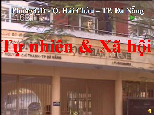 Bài 23. Cây hoa