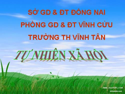 Bài 30. Trời nắng, trời mưa